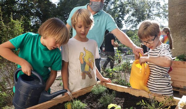 Finales Gießen der Wildbienenbuffets