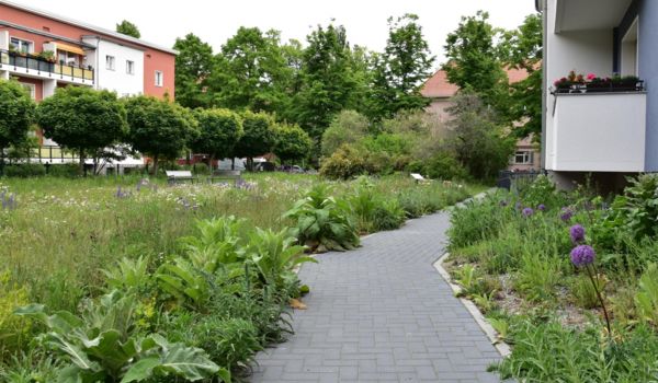 Naturgarten aus dem Projekt „Treffpunkt Vielfalt“ in Berlin-Reinickendorf.