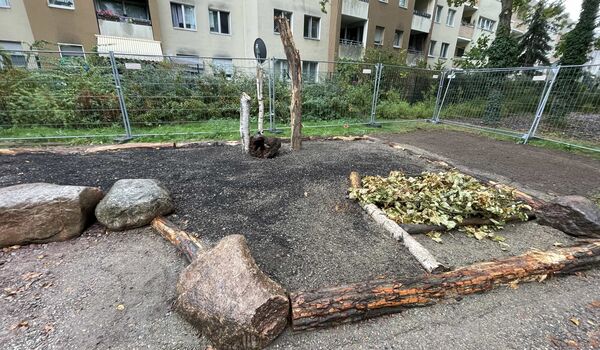 Trittsteinbiotop im AVA-Kiez (Berlin-Reinickendorf) im Bau