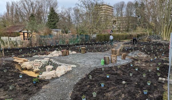 Fläche mit Umbauarbeiten für das Trittsteinbiotop an der Lindauer Allee (Berlin-Reinickendorf)