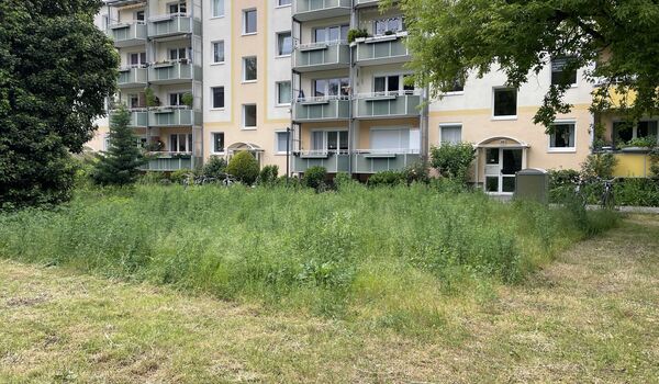 Fläche für den zukünftigen PikoPark auf dem Gelände der Wohnungsbaugenossenschaft BEROLINA eG