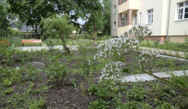 Impression von der Fläche des Beamten-Wohnungs-Vereins zu Köpenick eG, Berlin-Köpenick