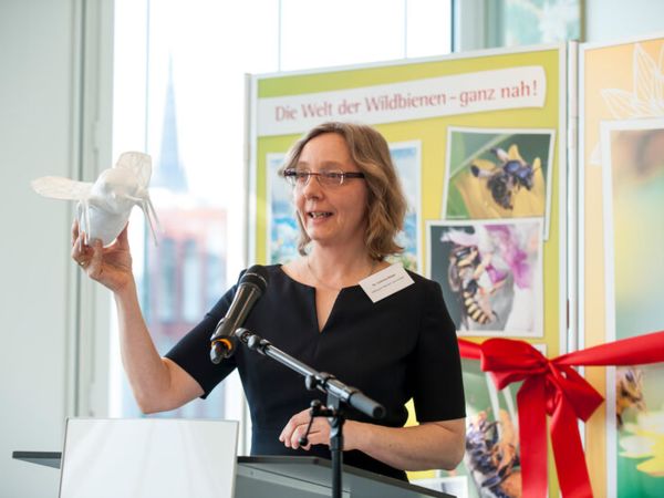 Dr. Corinna Hölzer weiß, wie sie ihr Publikum für die Wildbienen begeistert.