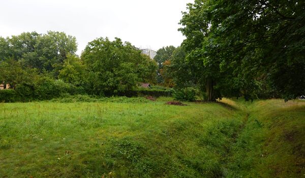 Fläche für das Trittsteinbiotop an der Lindauer Allee (Berlin-Reinickendorf)