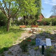 Naturgarten in Berlin-Köpenick (Projekt „Treffpunkt Vielfalt“)