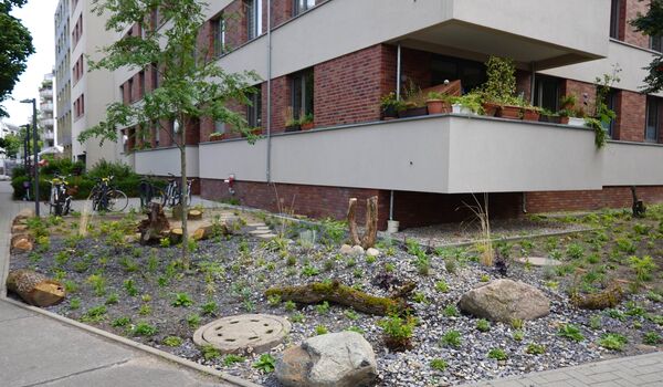 Fertiges Trittsteinbiotop auf der Fläche der Wohnungsbaugenossenschaft „Berolina“ eG