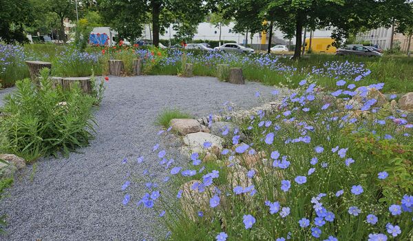 Naturnahe Fläche an der Lindauer Allee (Berlin-Reinickendorf)