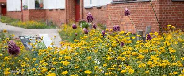 Naturgärten laden zum Sitzen und Entspannen ein.