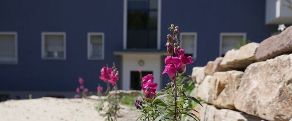 Naturgarten aus dem Projekt „Treffpunkt Vielfalt“ in Berlin-Reinickendorf.