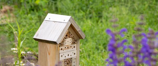Wildbienennisthilfe im Wildbienenschaugarten in Berlin-Treptow