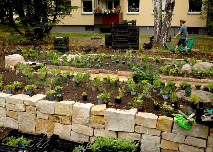 Der neue PikoPark in Berlin-Marienfelde entsteht im Jahr 2022. Auch im Wohnquartier können wir Biodiversität fördern.