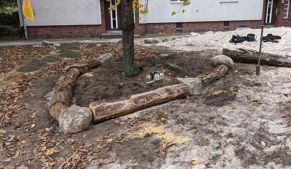 Stadtnatur: Naturnahe Umgestaltung in Berlin-Britz