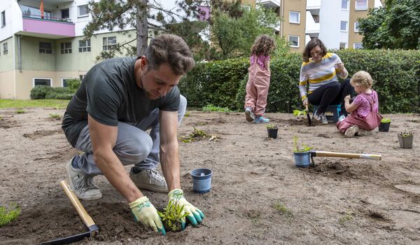 Ein Mitarbeiter des Naturgarten-Teams der Stiftung für Mensch und Umwelt und freiwillige Engagierte bepflanzen eine Fläche naturnah.