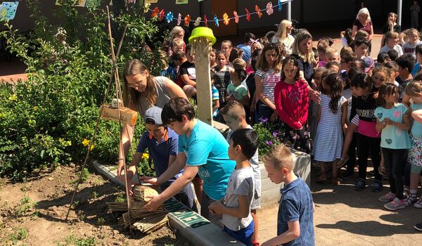 Gewinner (1. Platz, Schulen)