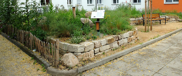Naturgarten aus dem Projekt „Treffpunkt Vielfalt“ in Berlin-Britz.