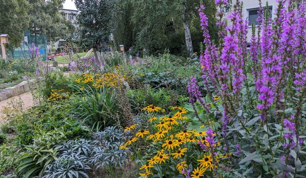 Blühender PikoPark in der Amendestr. (Reinickendorf)