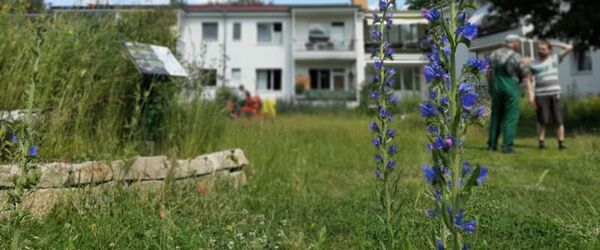 Naturgarten aus dem Projekt „Treffpunkt Vielfalt“ in Berlin-Reinickendorf.