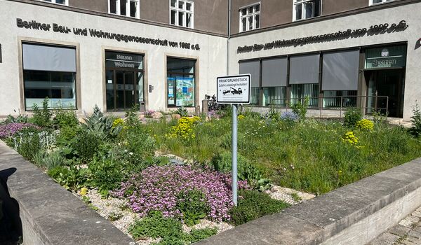 Naturnahe Firmengelände: Berliner Bau- und Wohnungsgenossenschaft von 1892 eG, naturnahe Fläche etwa ein Jahr nach der Umgestaltung