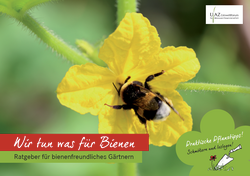 Cover: Ratgeberbroschüre „Wir tun was für Bienen“ Cover: Ratgeberbroschüre „Wir tun was für Bienen“