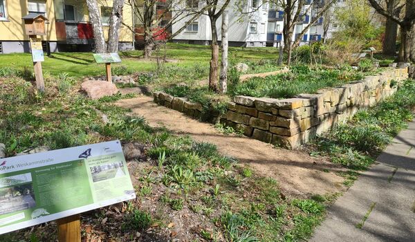 PikoPark in Berlin-Marienfelde: heimische Wildpflanzen, Trockenmauer, Wildbienen-Nisthilfe und Infoschilder