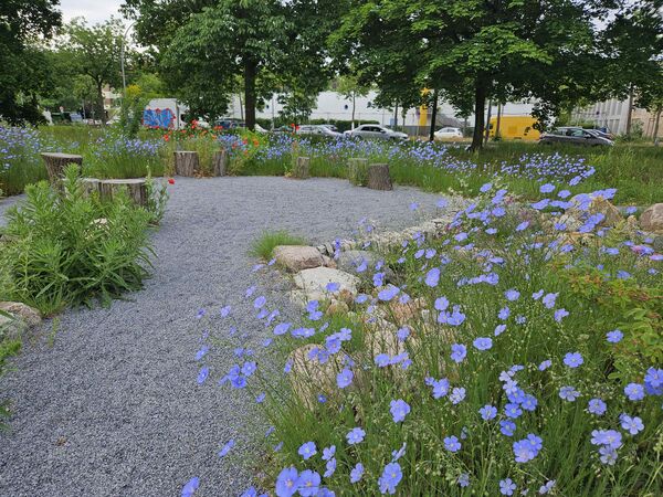 Trittsteinbiotop an der Lindauer Allee, KGA „Parkheim e.V.“ (Berlin-Reinickendorf)