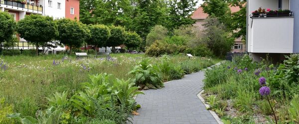 Naturgarten aus dem Projekt „Treffpunkt Vielfalt“ in Berlin-Reinickendorf.