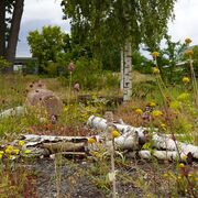 Naturnahes Firmengelände in Kleinmachnow (Brandenburg)