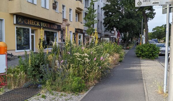 Trittsteinbiotop an der Seestraße