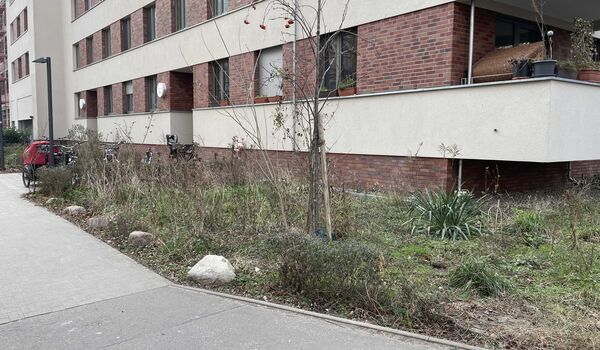 Fläche der Wohnungsbaugenossenschaft „Berolina“ eG vor dem Bau des Trittsteinbiotops