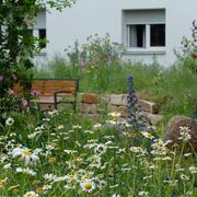 Naturgarten in Berlin-Neukölln (Britz; Projekt „Treffpunkt Vielfalt“)