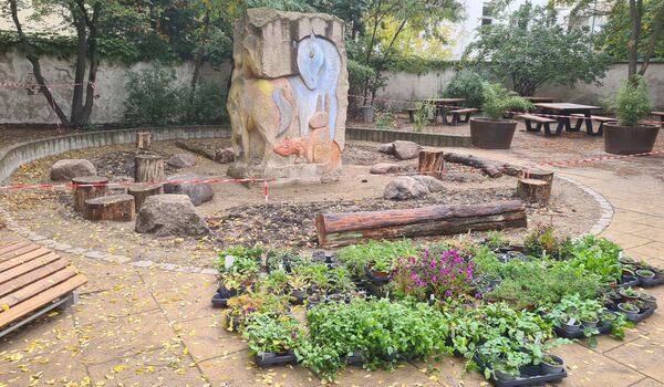 Schulhof der Franz-Marc-Grundschule (Berlin) während des Baus eines Trittsteinbiotops