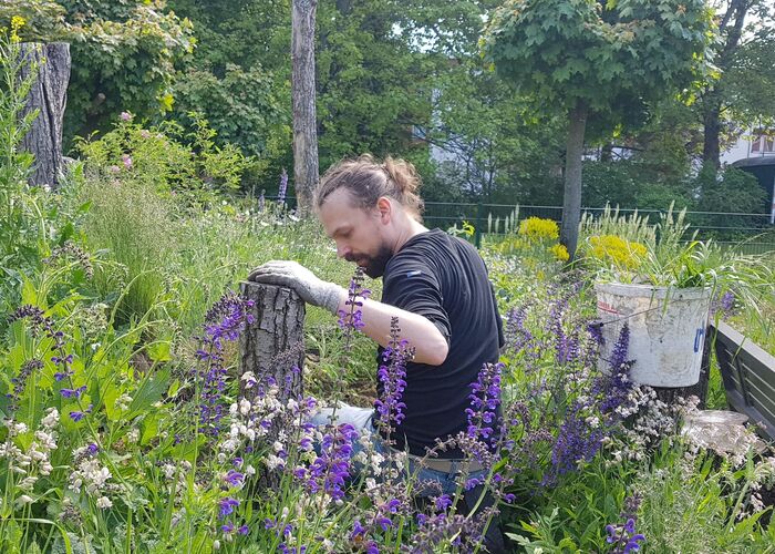 Peter Müller aus dem Naturgarten-Team der Stiftung für Mensch und Umwelt