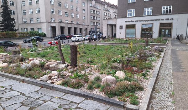 Naturnahe Firmengelände: Berliner Bau- und Wohnungsgenossenschaft von 1892 eG, naturnahe Fläche etwa fünf Monate nach der Umgestaltung