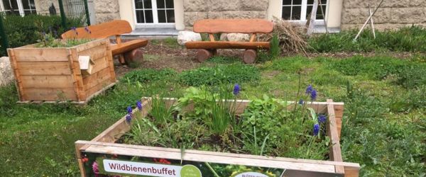 Wildbienenbuffet an der Grundschule am Stadtpark Steglitz im Frühling 2021