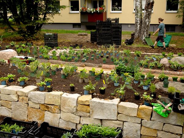Der neue PikoPark in Berlin-Marienfelde entsteht.