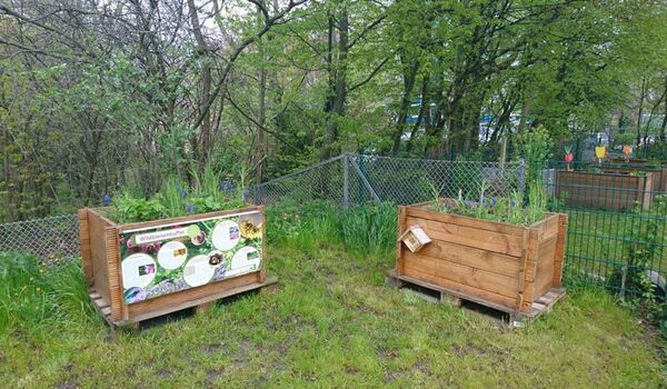 Wildbienenbuffets an der Reineke-Fuchs-Grundschule im Frühling 2021