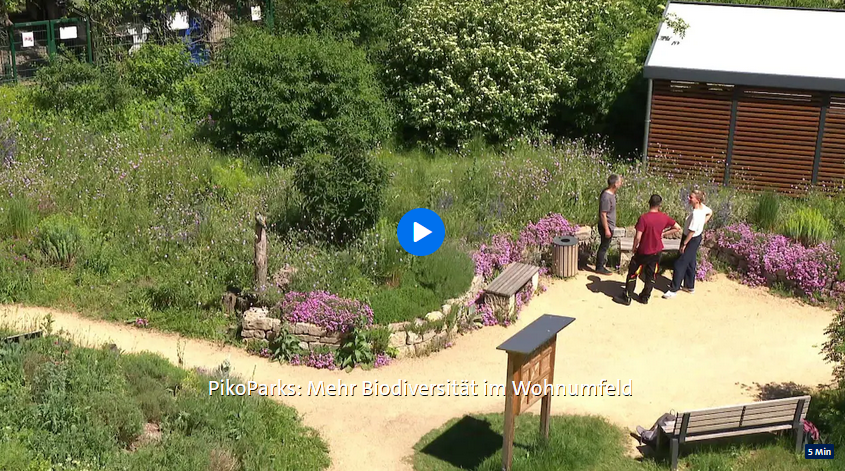 Link zum Bericht: RBB Gartenzeit 04.06.2026