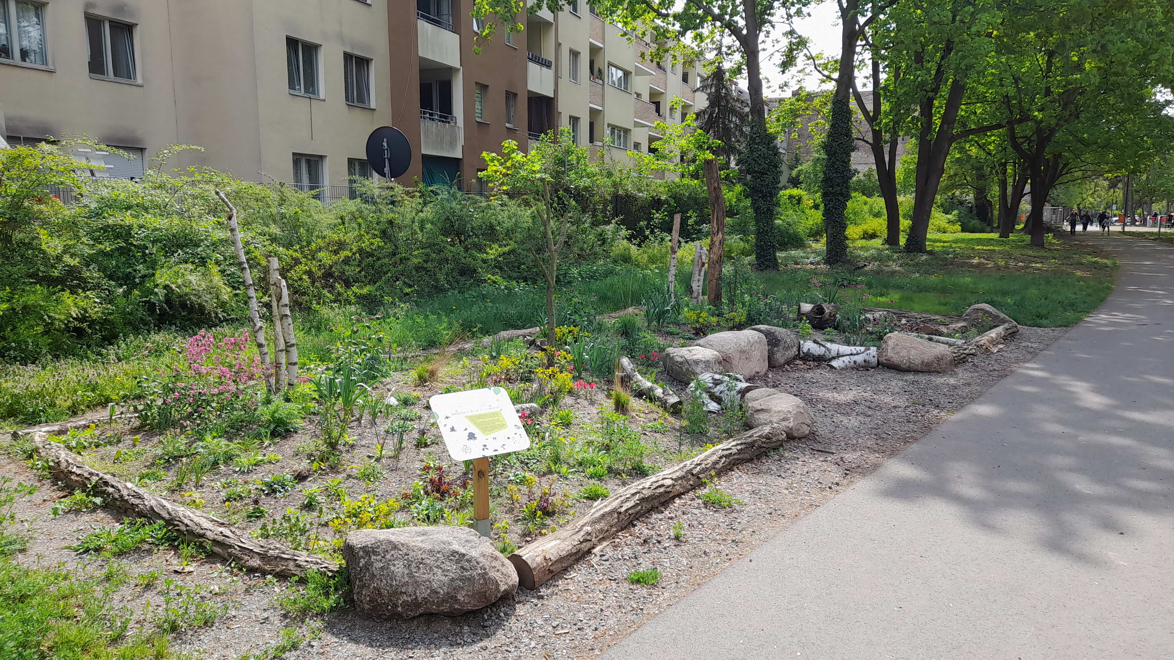 Trittsteinbiotop im AVA-Kiez (Berlin-Reinickendorf)