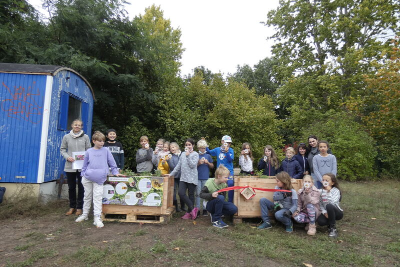Projekt "Wildbienenbuffets für Grundschulen": Grundschüler weihen Hochbeete mit insektenfreundlichen Pflanzen ein