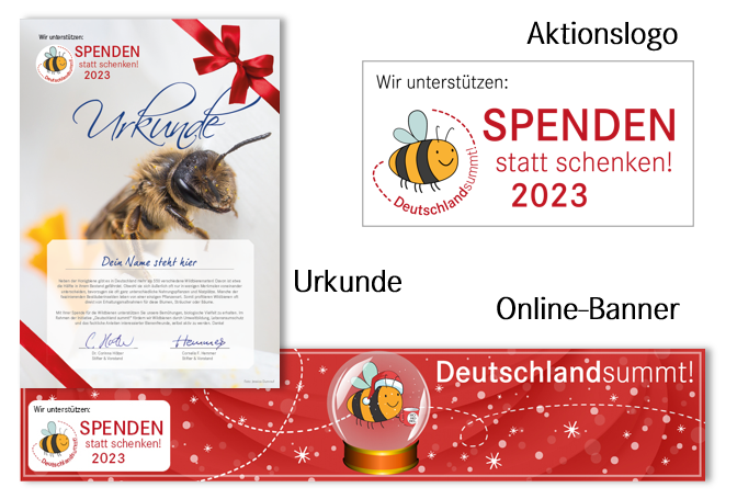 Medienpaket