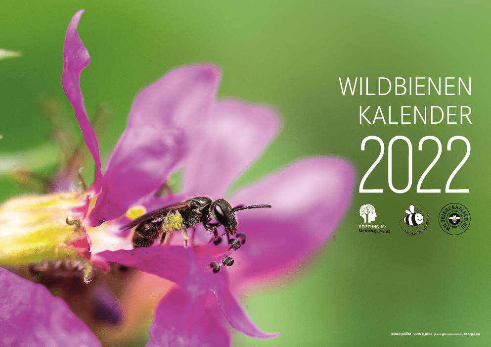 Cover Wildbienenkalender 2022